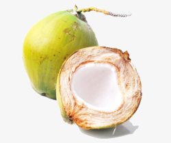 水果椰子素材