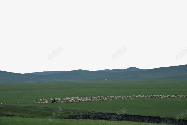 草原放牧png免抠素材_新图网 https://ixintu.com 放牧 牧场 牲畜 绿色 草原 蒙古 蒙古草原