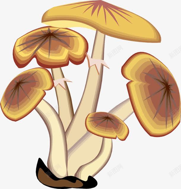 卡通png免抠素材_新图网 https://ixintu.com 卡通 蘑菇 蜜环菌