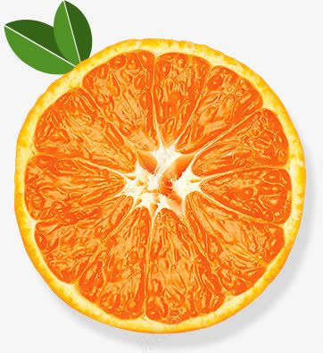 切开的橙子植物png免抠素材_新图网 https://ixintu.com 切开 植物 橙子