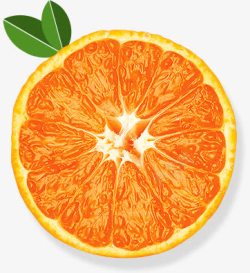 切开的橙子植物素材