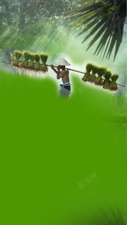 绿色的水田图片绿色农民插秧ai源文件H5背景矢量图高清图片