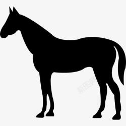 马的侧面安静的马侧面剪影图标高清图片