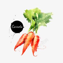 水彩红萝卜卡通水彩蔬菜红萝卜高清图片