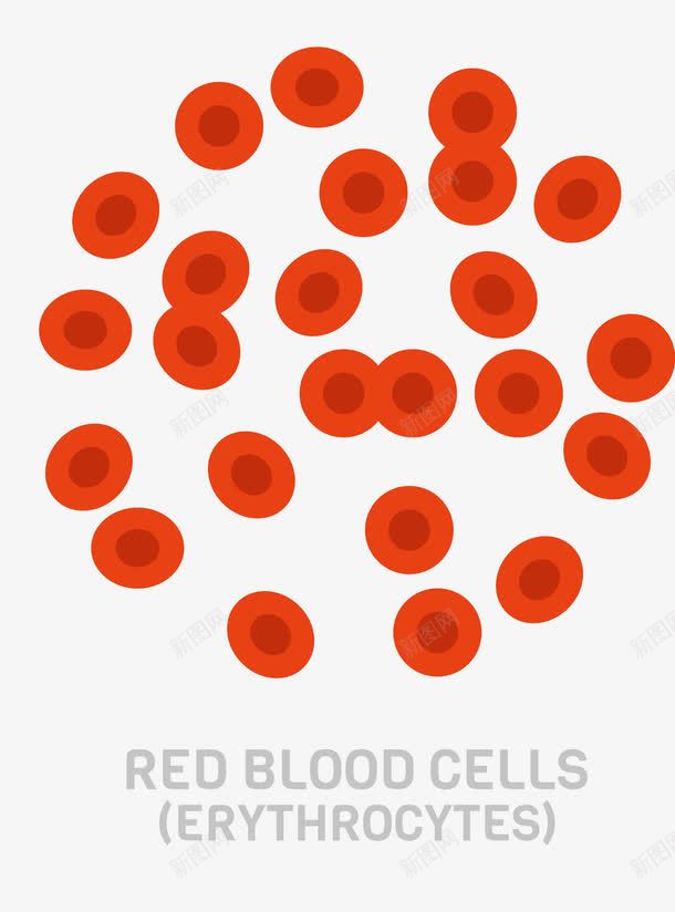 大批红细胞png免抠素材_新图网 https://ixintu.com 医学 大批 研究 红细胞