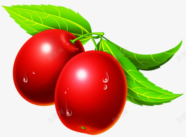 两颗红色果实png免抠素材_新图网 https://ixintu.com 卡通水果 果实 水果 红色