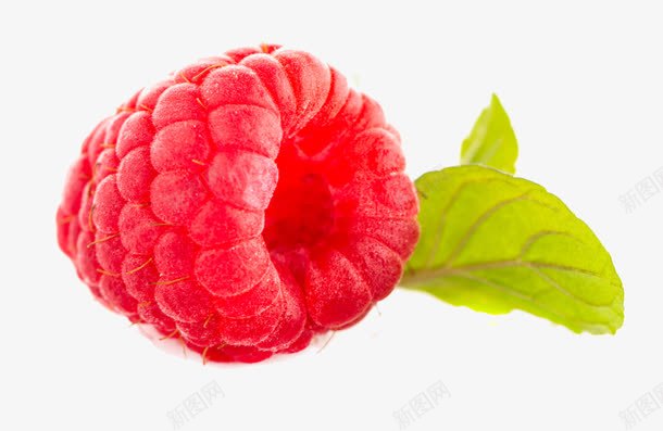 红色水果png免抠素材_新图网 https://ixintu.com 果实 树莓 桑椹 食物
