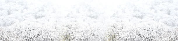 雪景背景图jpg设计背景_新图网 https://ixintu.com 树 树枝 雪