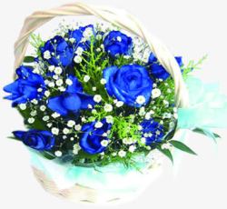 花篮蓝色玫瑰花花朵素材
