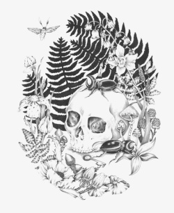 骷髅插画素材