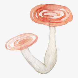 手绘水墨蘑菇图素材