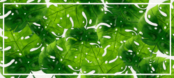 美年大健康淘宝绿色手绘化妆品植物背景矢量图高清图片