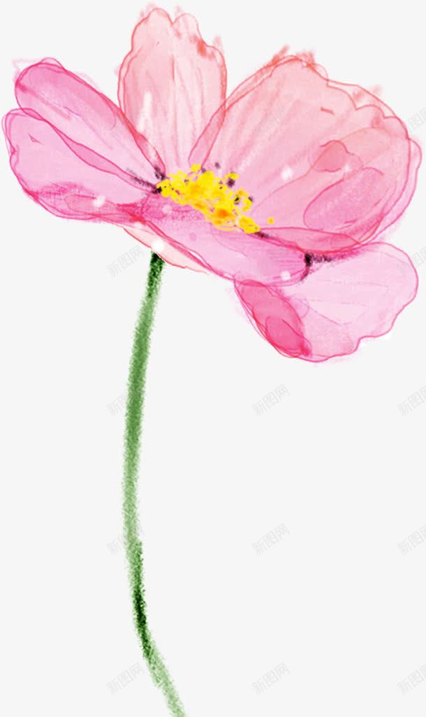 粉色手绘花卉水彩画
