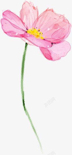 粉色手绘花卉水彩画素材