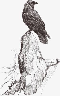素描乌鸦伫立在岩石上的乌鸦矢量图高清图片
