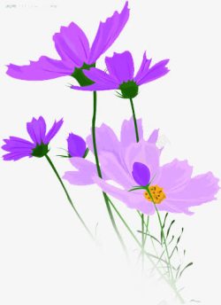 手绘海报节日花朵效果紫色素材