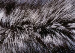 人造毛设计动物皮毛背景高清图片