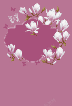白色木兰花紫色素雅木兰花海报背景矢量图高清图片