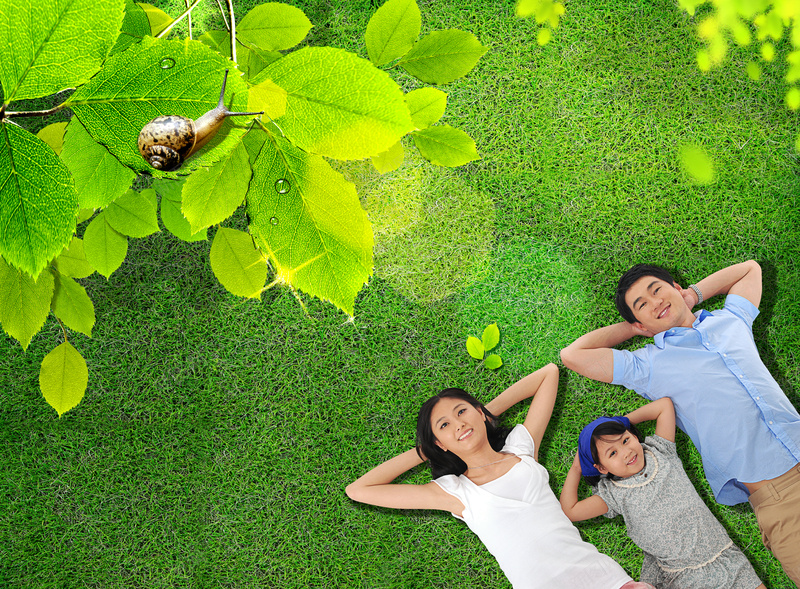 清新大自然绿色家庭psd设计背景_新图网 https://ixintu.com 大自然 家庭海报 清新 清新大自然绿色家庭 绿色