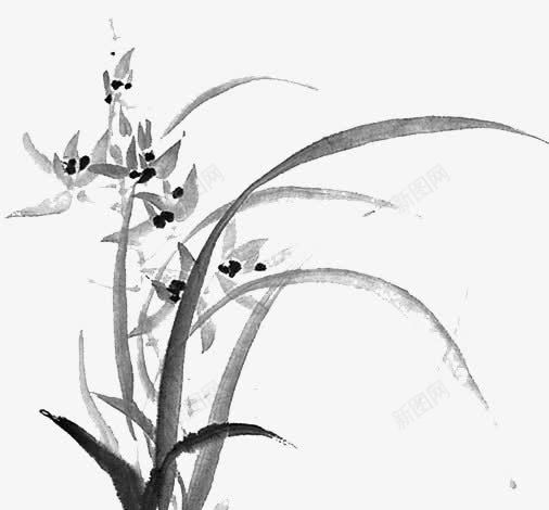 水墨兰花png免抠素材_新图网 https://ixintu.com 国画 水墨兰花 艺术