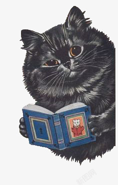 看书的猫素材