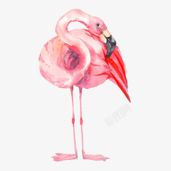 粉色丹顶鹤手绘粉色的丹顶鹤图高清图片