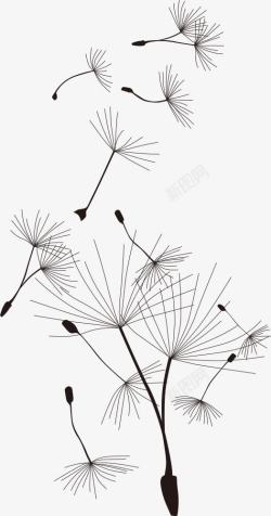 风吹蒲公英矢量图素材
