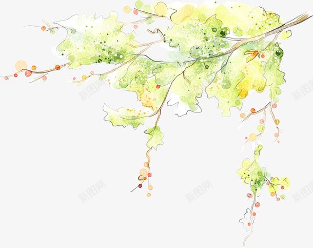手绘植物枝条美景png免抠素材_新图网 https://ixintu.com 枝条 植物 美景