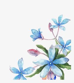 手绘蓝色清新花朵装饰素材