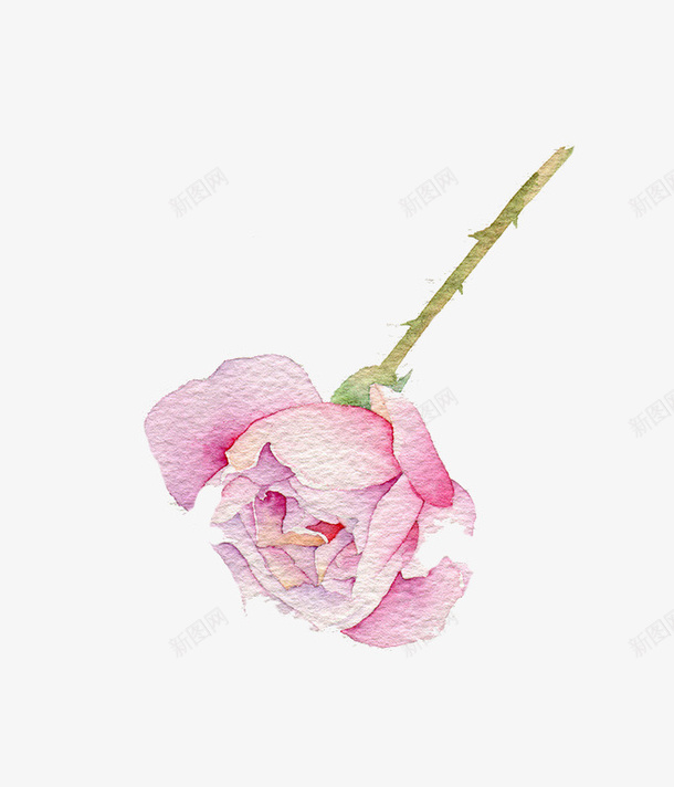 粉红色花卉psd免抠素材_新图网 https://ixintu.com 手绘 植物 粉色 花卉 装饰