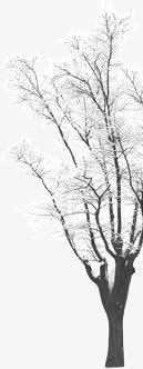 雪中的小树枝桠png免抠素材_新图网 https://ixintu.com 光秃秃 小树 枝桠 积雪 雪中