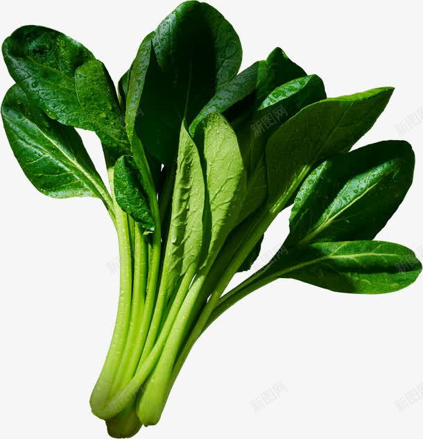 创意合成绿色的蔬菜菠菜png免抠素材_新图网 https://ixintu.com 创意 合成 绿色 菠菜 蔬菜
