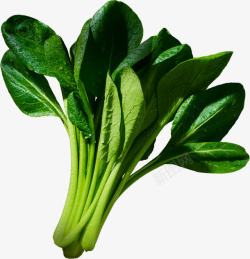 创意合成绿色的蔬菜菠菜素材