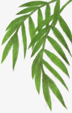 绿色清新画报装饰植物素材