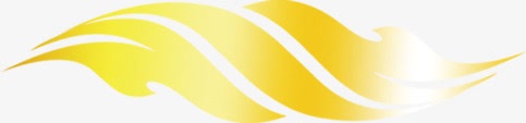 黄色彩带背景png免抠素材_新图网 https://ixintu.com 图片 彩带 素材 背景 黄色