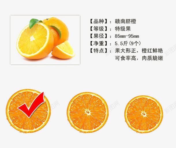 对半切水果png免抠素材_新图网 https://ixintu.com 对半切水果 橙子 脐橙 赣南脐橙 食物