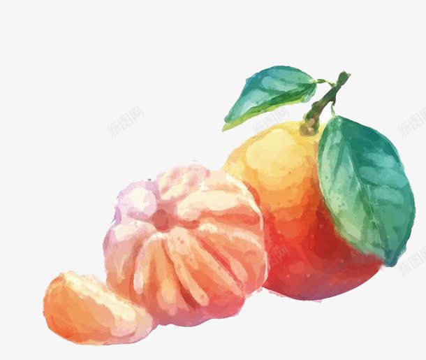 手绘橘子png免抠素材_新图网 https://ixintu.com 卡通素材 手绘素材 果实 橘子 水果