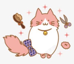 梳子猫猫高清图片