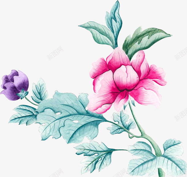 水彩创意花朵图png免抠素材_新图网 https://ixintu.com 创意 卡通手绘 叶子 植物 水彩鲜花 紫色 绿叶 花卉 花朵