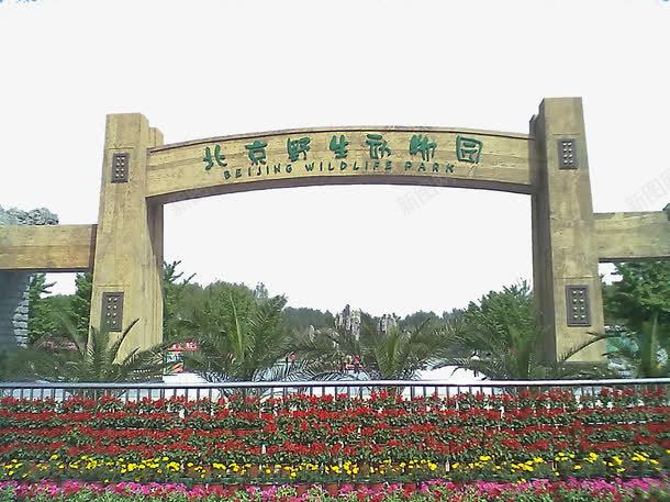 北京旅游野生动物园png免抠素材_新图网 https://ixintu.com 北京野生动物园 旅游 旅游景区 著名景点