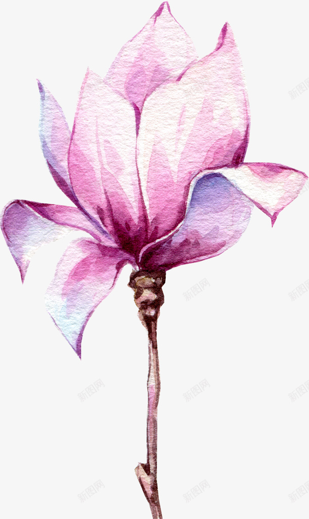水彩粉色花朵图png免抠素材_新图网 https://ixintu.com 创意 卡通手绘 唯美 小清新 植物 水彩 粉色 花卉 鲜花
