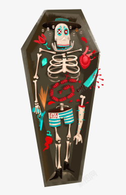 骷髅棺材棺材里的骷髅矢量图高清图片