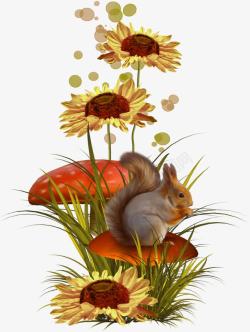 松鼠磨菇和花朵素材