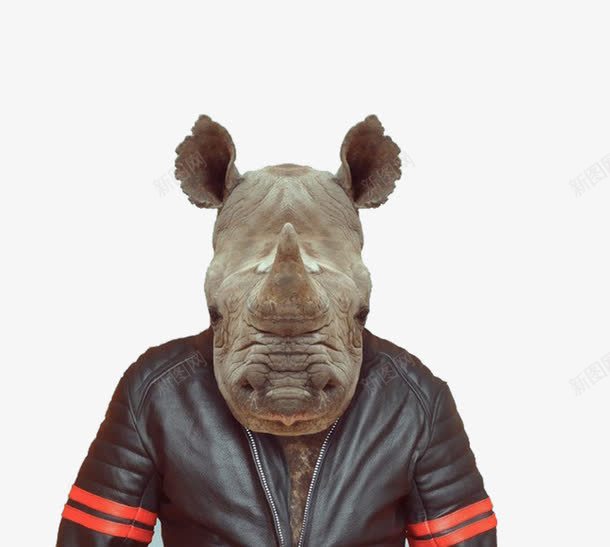 动物犀牛png免抠素材_新图网 https://ixintu.com 人身兽头 哺乳动物 犀牛 犀牛正面 黑皮衣