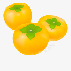三个柿子手绘柿子简图高清图片