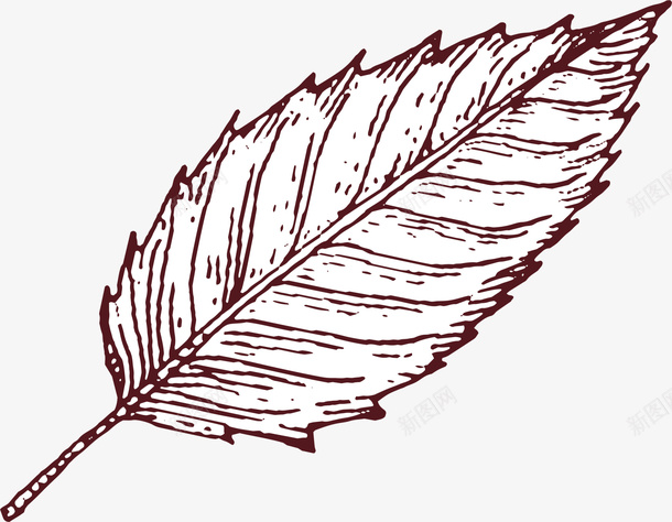褐色线条树叶png免抠素材_新图网 https://ixintu.com 叶子 树叶 植物 简约 线条 装饰图案 褐色