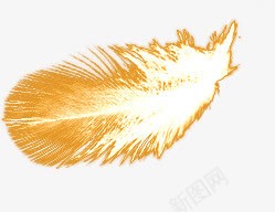 金色线条羽毛装饰png免抠素材_新图网 https://ixintu.com 线条 羽毛 装饰 金色