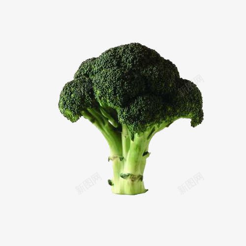西兰花菜png免抠素材_新图网 https://ixintu.com 产品实物 绿色食品 蔬菜 西蓝花