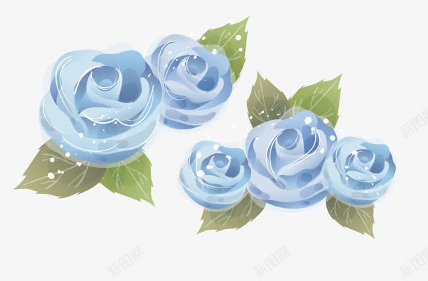 蓝玫瑰png免抠素材_新图网 https://ixintu.com 情人节 月季 玫瑰花 花朵 蓝玫瑰