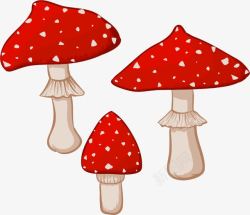 三棵红色蘑菇矢量图素材